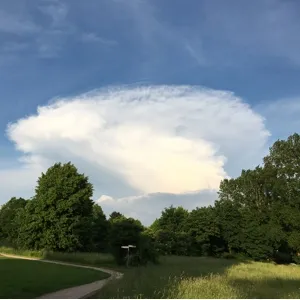 Wanderweg an der Aue bei Ahrensburg