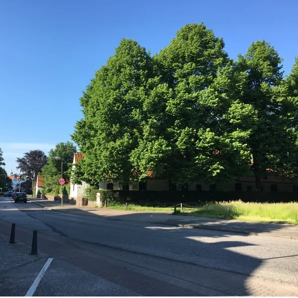 Schlossstraße in Ahrensburg